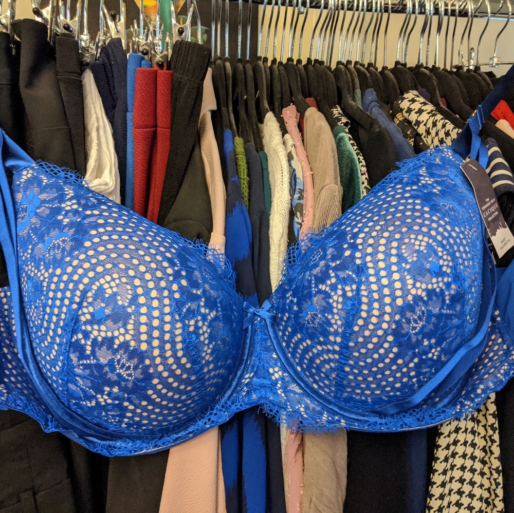 COPY - Lane Bryant Bra New with tags 50C